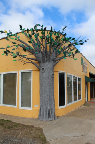 All About Trees